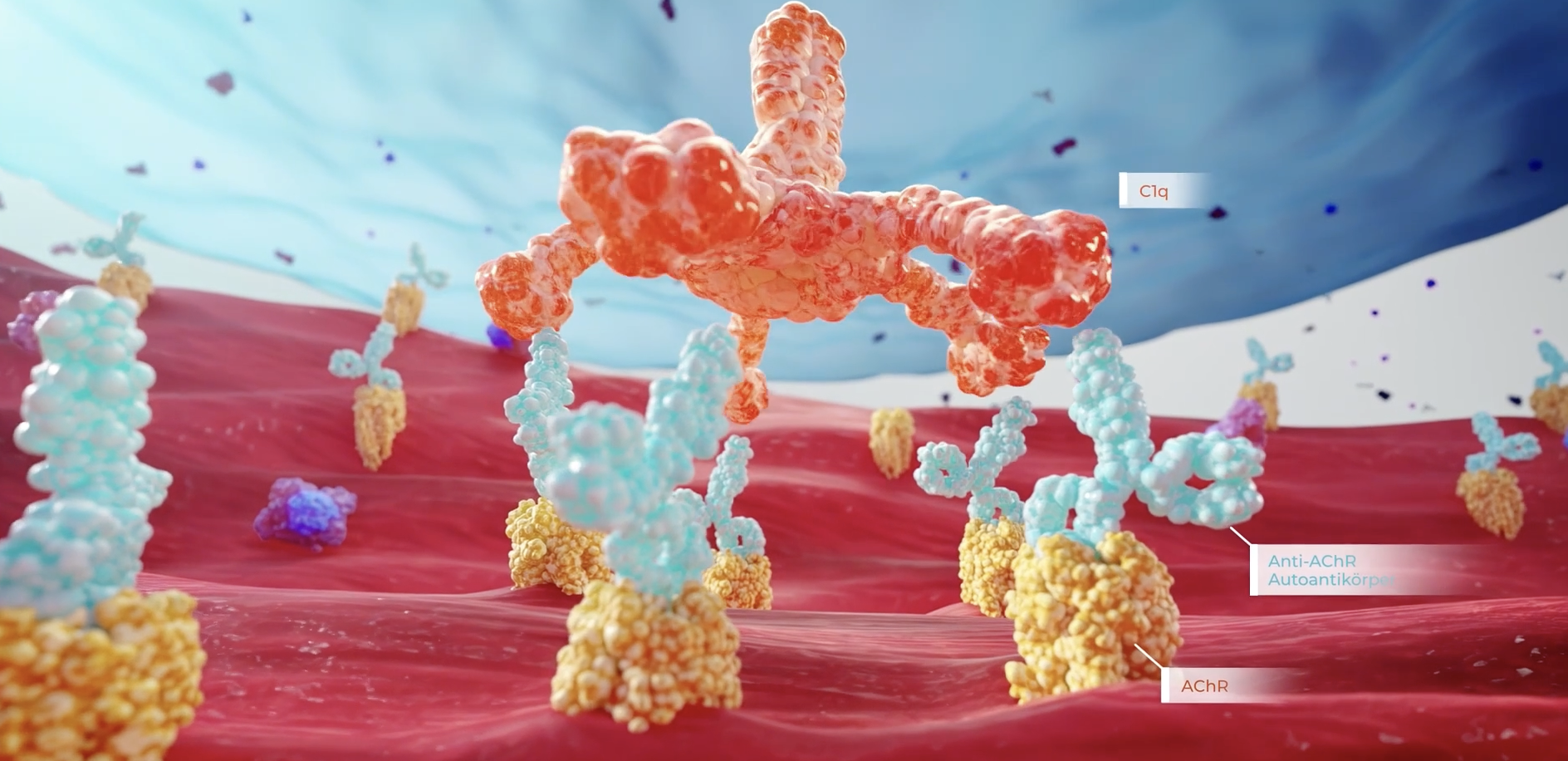 3d animation video